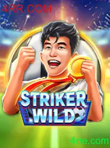 Descubra a Emoção e as Regras Fascinantes do Jogo StrikerWILD