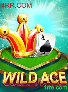 Explorando o Jogo WildAce: Descrição, Introdução e Regras